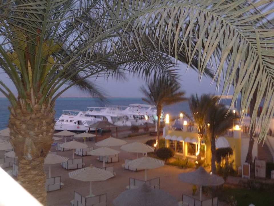 The hoel trip boatst SUNRISE Holidays Resort (Adults Only)
