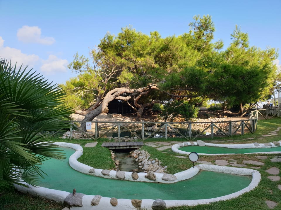 Sport & Freizeit Zafiro Bahia