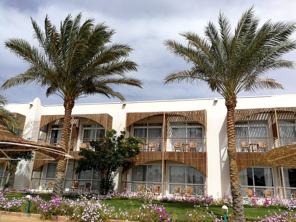 Außenansicht Desert Rose