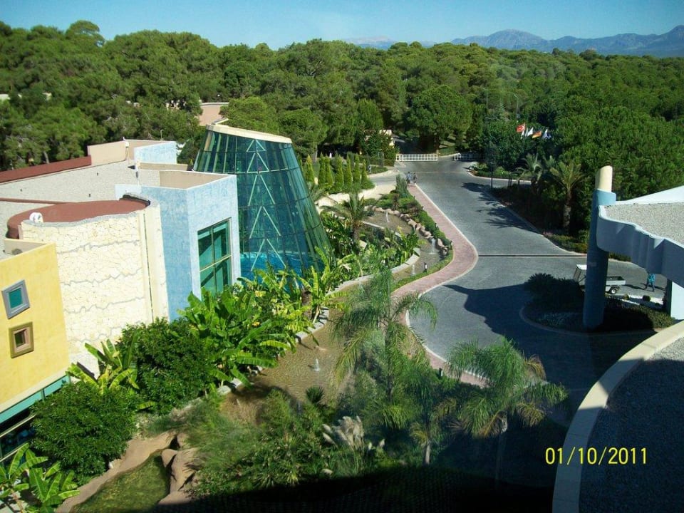 Zufahrt zum Hotel - vom Hotel aus. Blue Waters Club