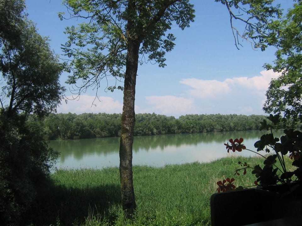 Blick vom Zimmer auf das Sommerwetter am Inn Pension Salzingerhof