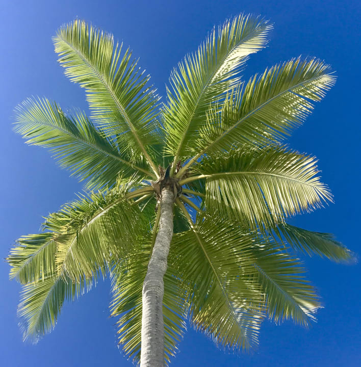 Sonstiges ROBINSON MALDIVES