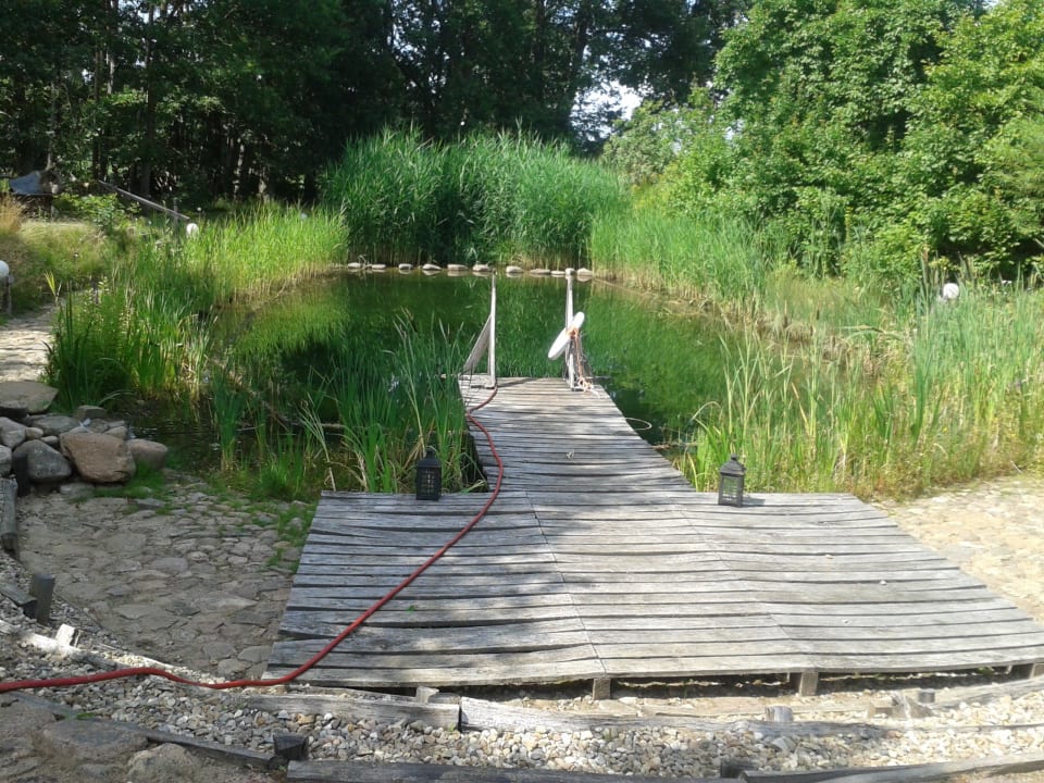 Toller Schwimmteich Rundlingsdorf Sagasfeld