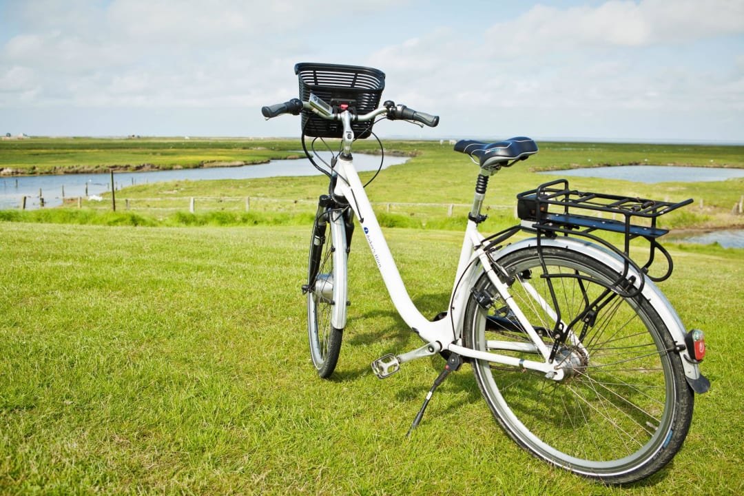 Hallig erkunden Hilligenley