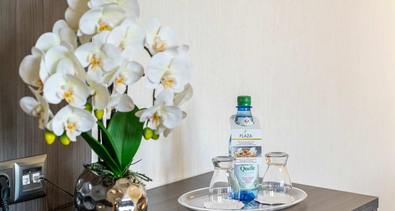 Zimmer PLAZA Hotel Buchhorner Hof