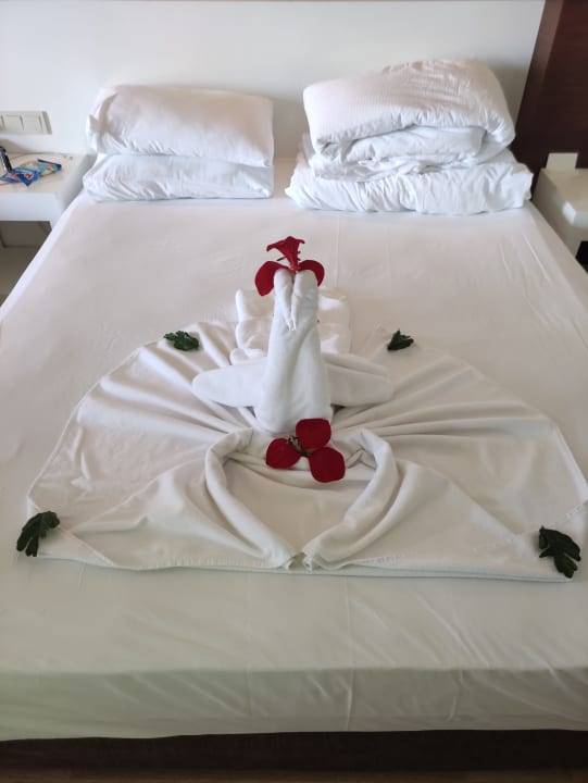 Zimmer Seaden Sea World Resort & Spa