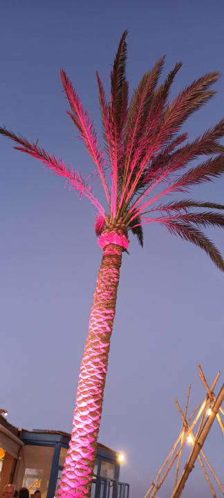 Gastro Club Paradisio El Gouna, Red Sea