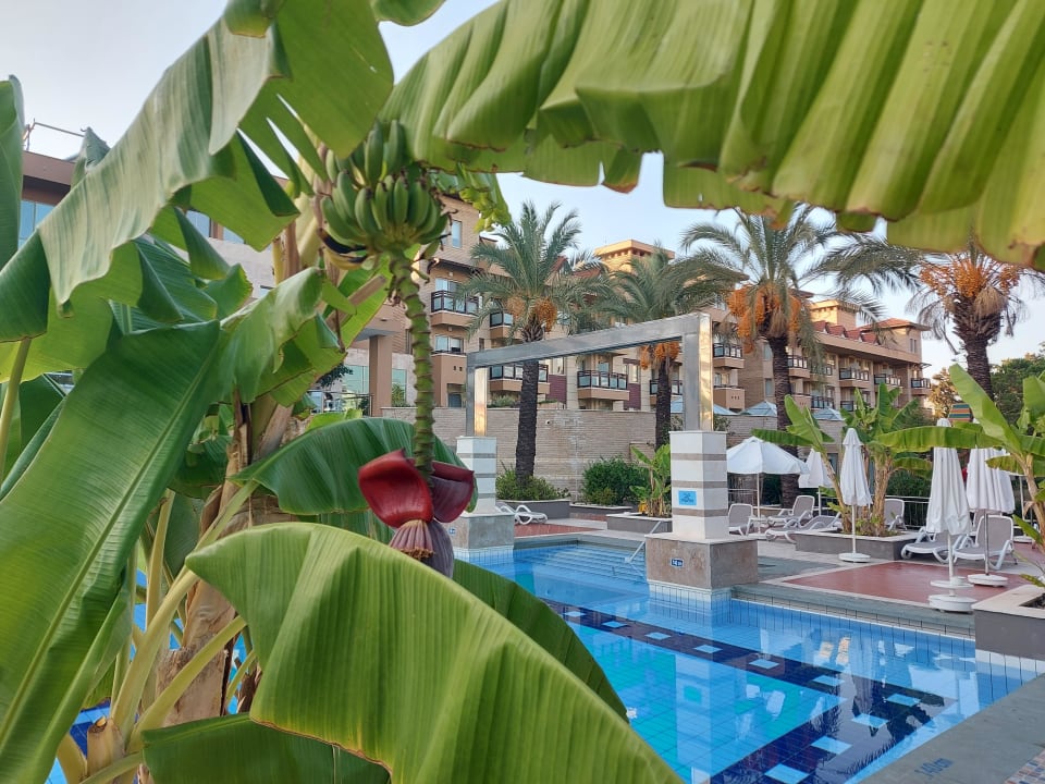 Pool TUI BLUE Xanthe