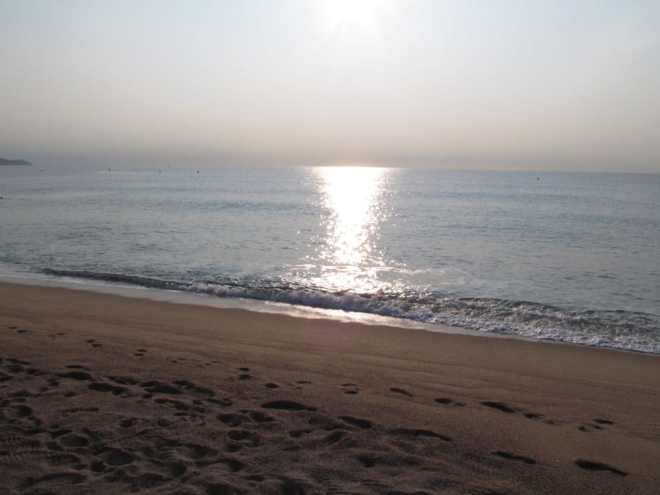 Дикий берег Hotel Blanes