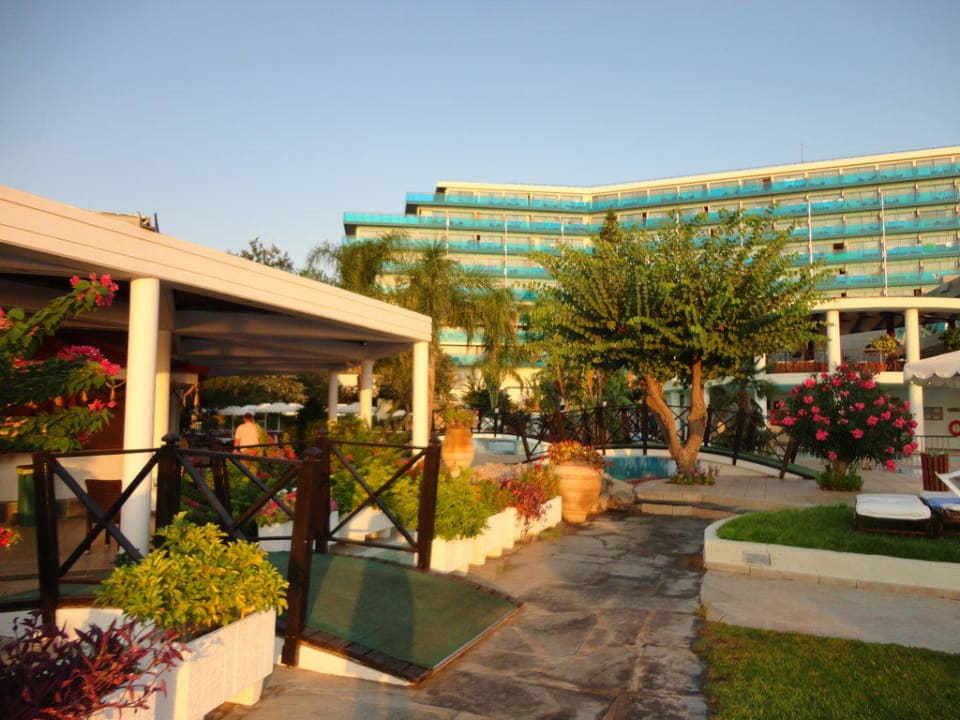 Blick auf Poolbar, Poolanlage und Hotel Hotel Calypso Beach