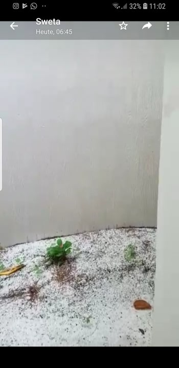 Zimmer Kihaa Maldives