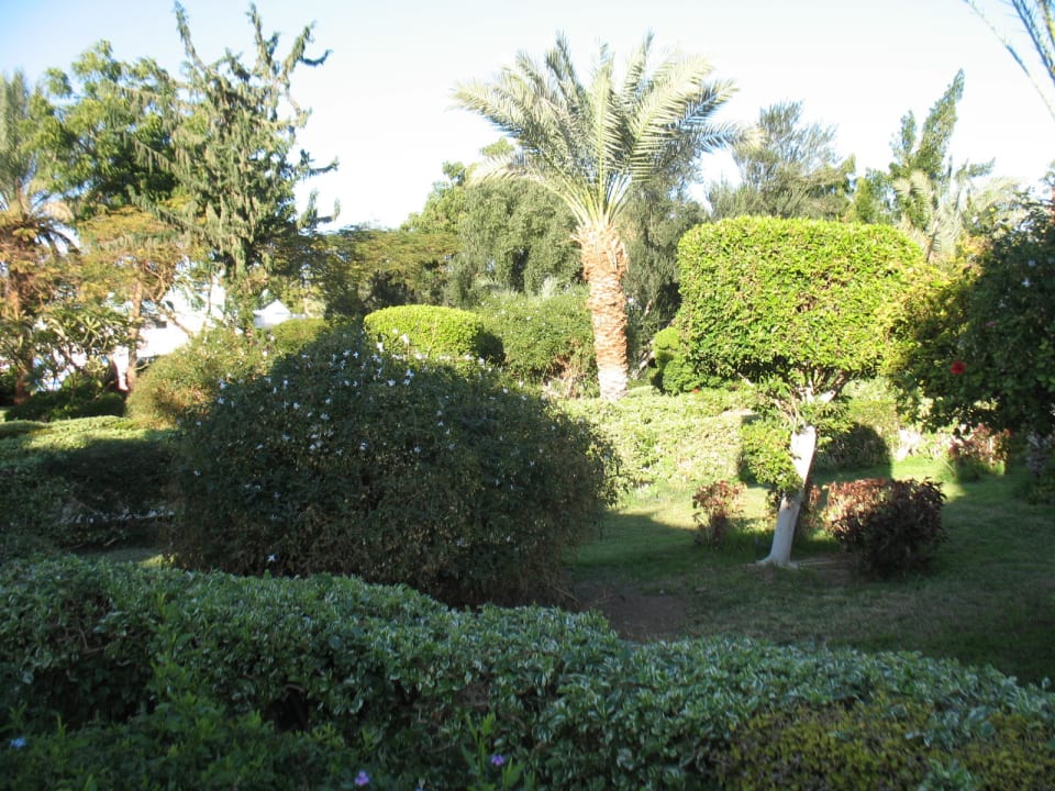 Hotel Menaville Safaga Menaville Safaga