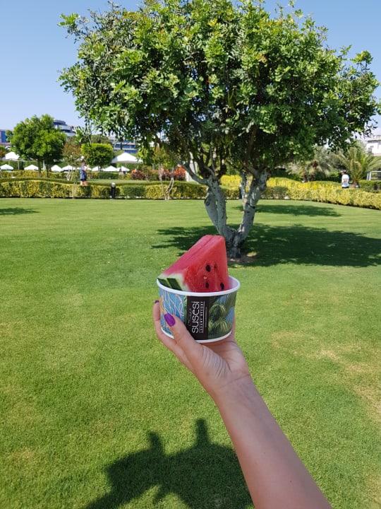Gartenanlage Susesi Luxury Resort