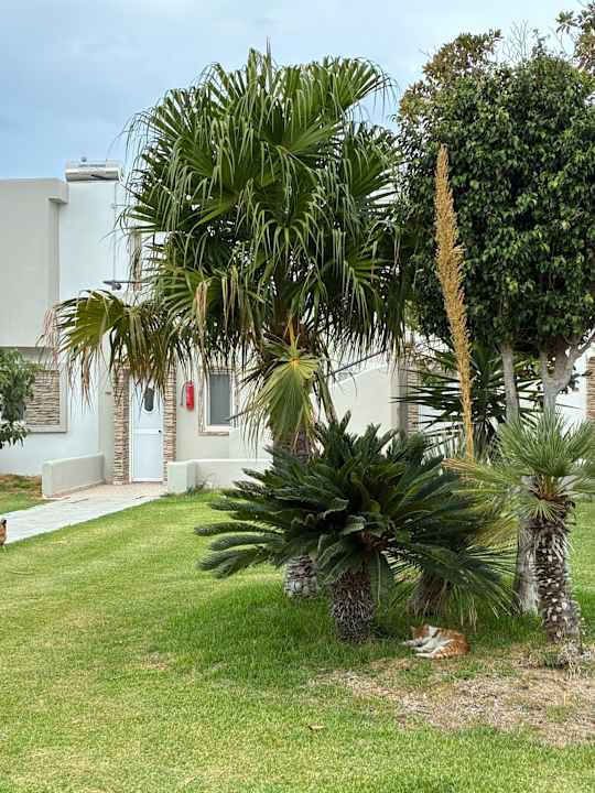 Gartenanlage Ilios K Village Resort