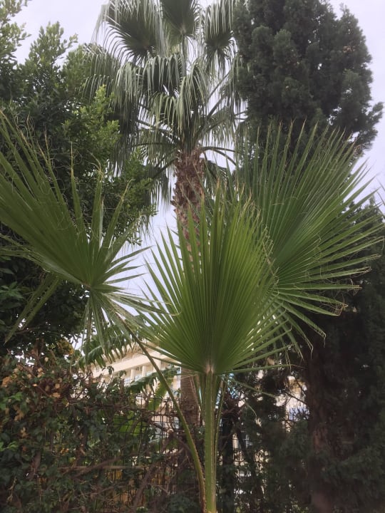 Rund uns Hotel viel grün Solivia Hotel