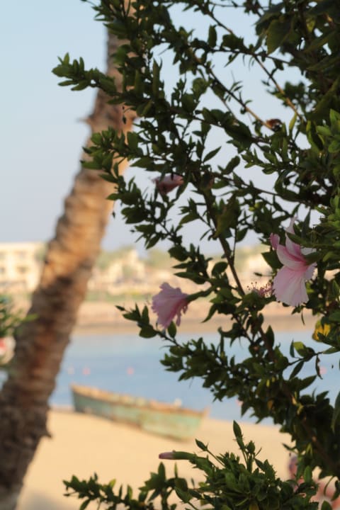 Strand Steigenberger Coraya Beach - Adults only