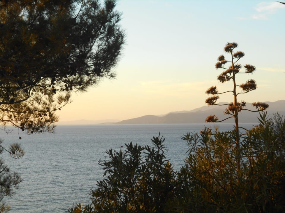 Ausblick Hotel Pine Bay Holiday Resort