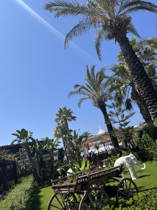 Gartenanlage Crystal Family Comfort Collection