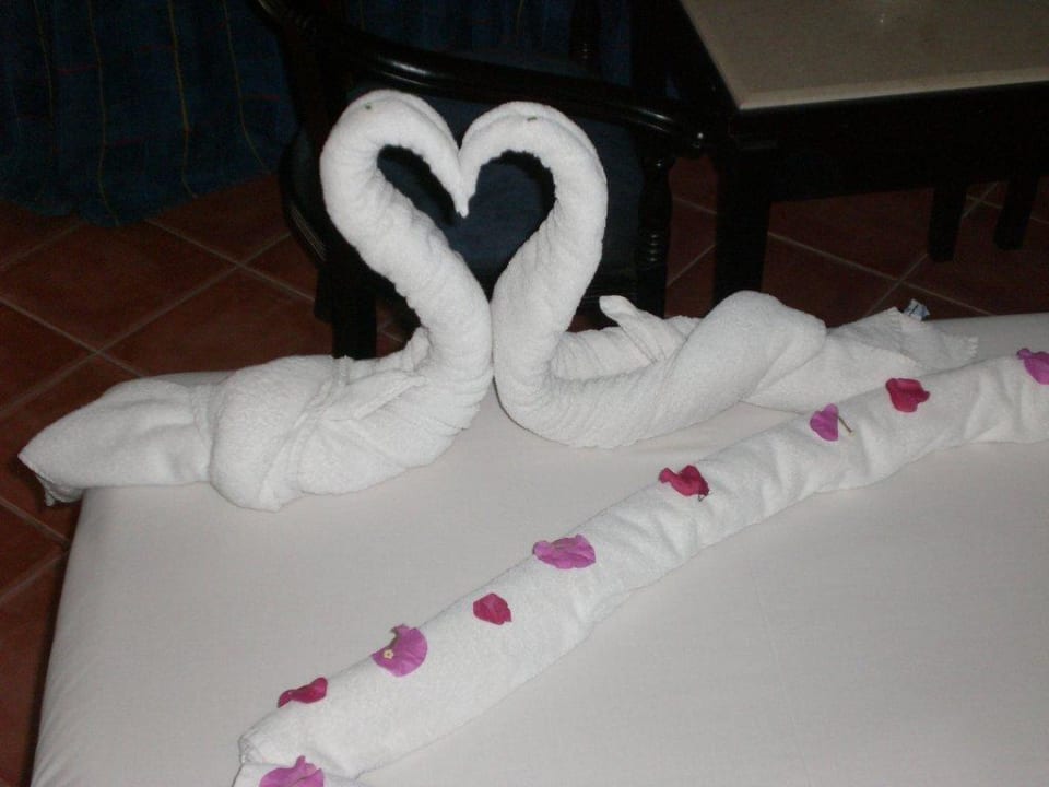 Schwanherzen Three Corners Sea Beach Resort