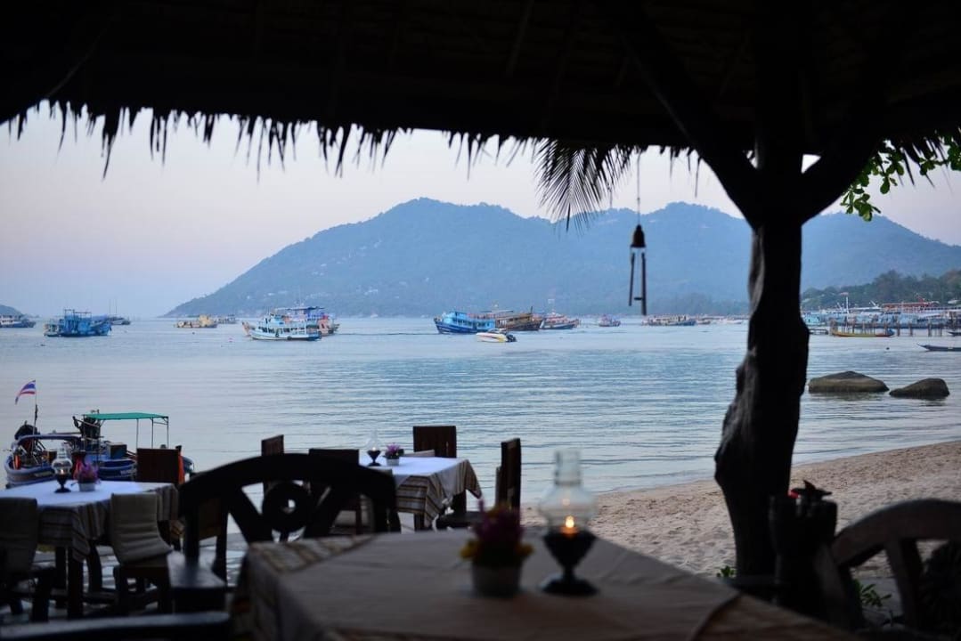 20 Schiffe und mehr Sensi Paradise Beach Resort