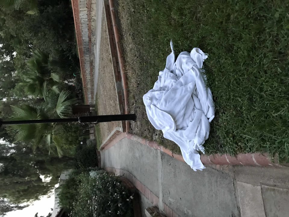 Gartenanlage Hotel Pine Bay Holiday Resort