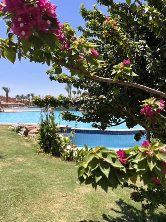 Sonstiges Sentido Caribbean World Soma Bay