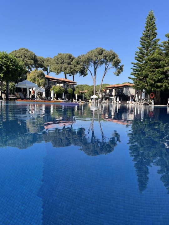 Pool Papillon Ayscha