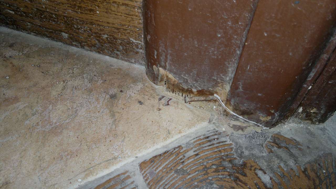 Ameisen-nach der Zimmerreinigung Pickalbatros Citadel Resort