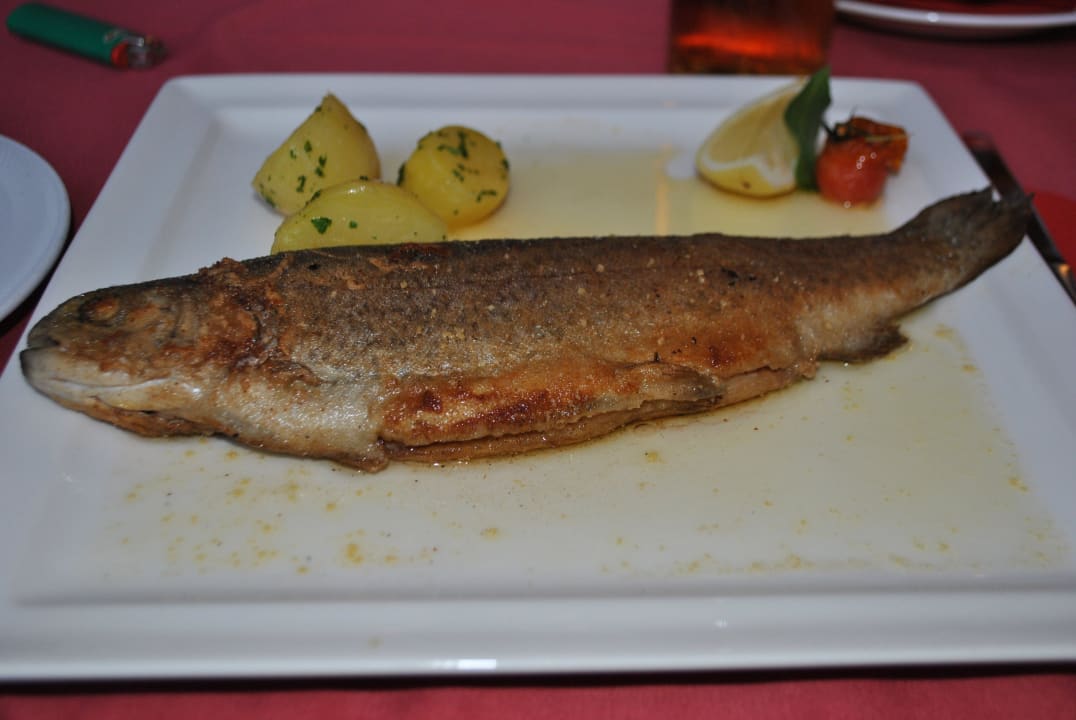 Forelle Müllerin Hotel Ländenhof