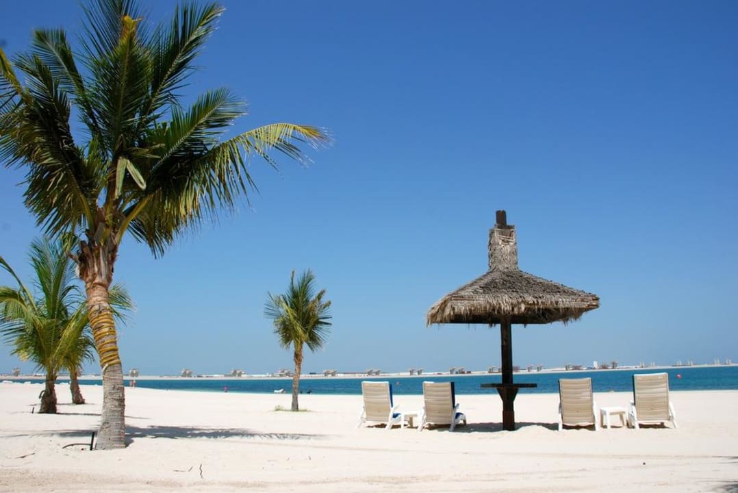 Der perfekte Platz an der Sonne JA Palm Tree Court