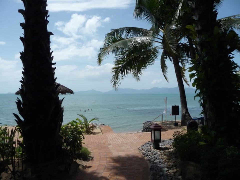 Da kommt morgens Laune auf! Paradise Beach Resort, Samui