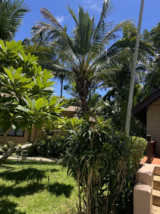 Gartenanlage The Fair House Beach Resort