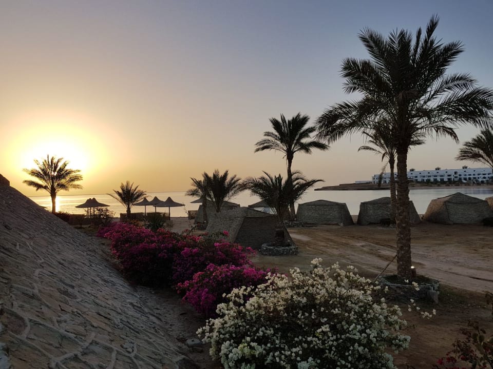 Ausblick Hotel Coral Garden