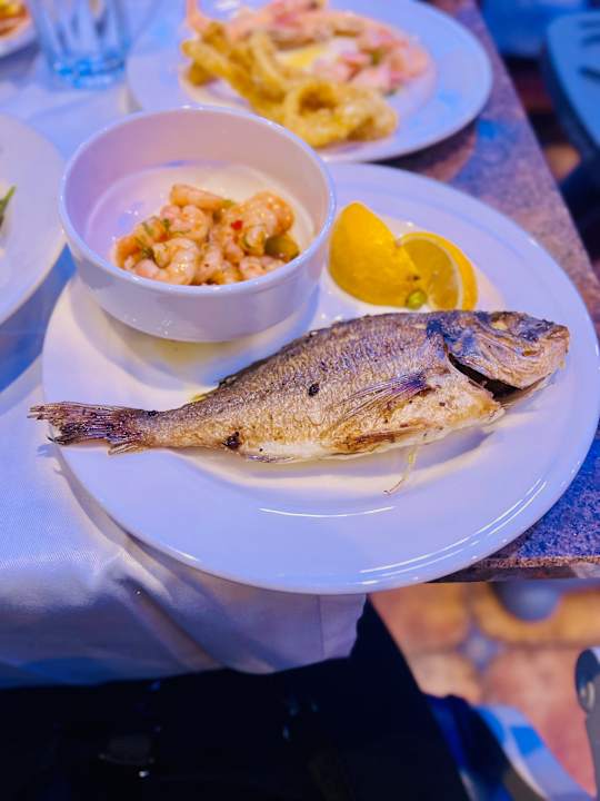 Gastro Kamelya Aishen Club