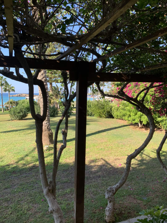 Gartenanlage Hotel Nissi Beach Resort
