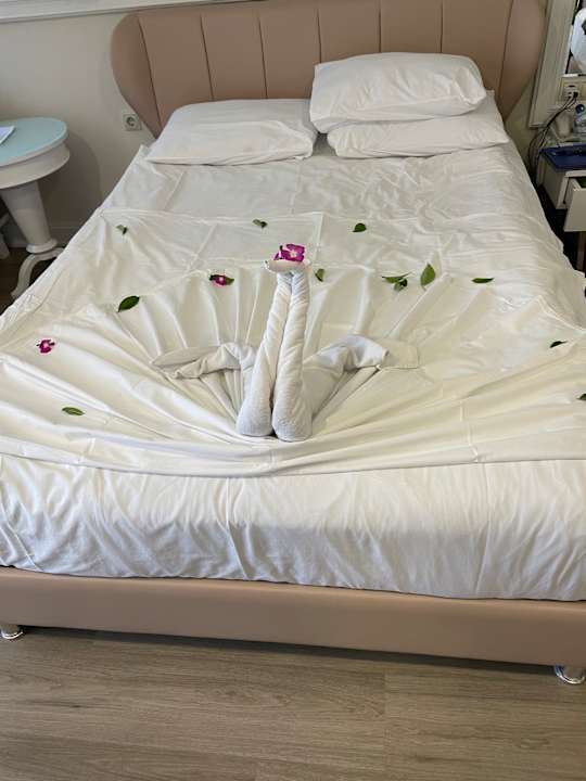 Zimmer Hotel Delphin Diva