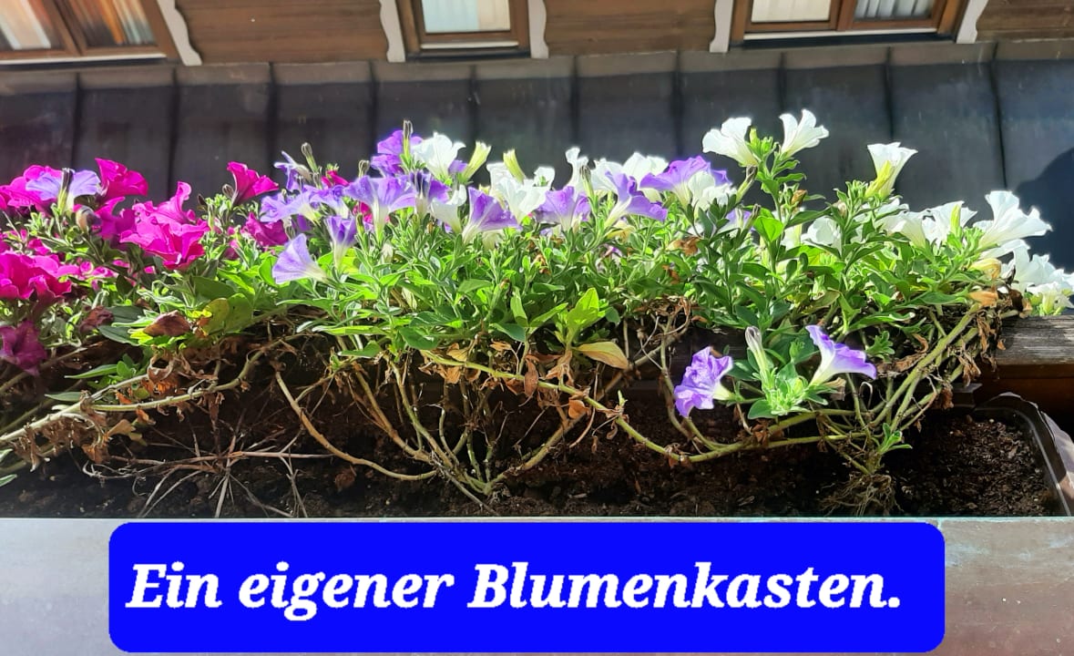 Außenansicht Hotel Wagrainerhof