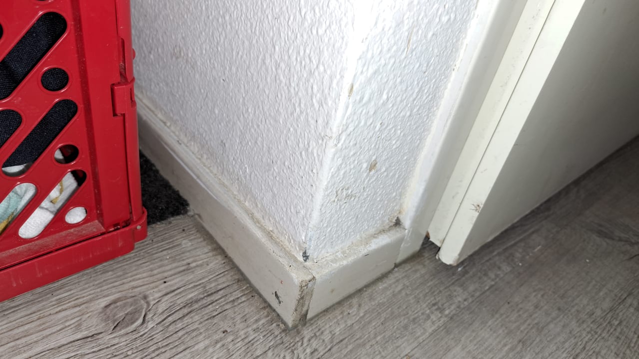 Zimmer Roompot Vakantiepark Kijkduin