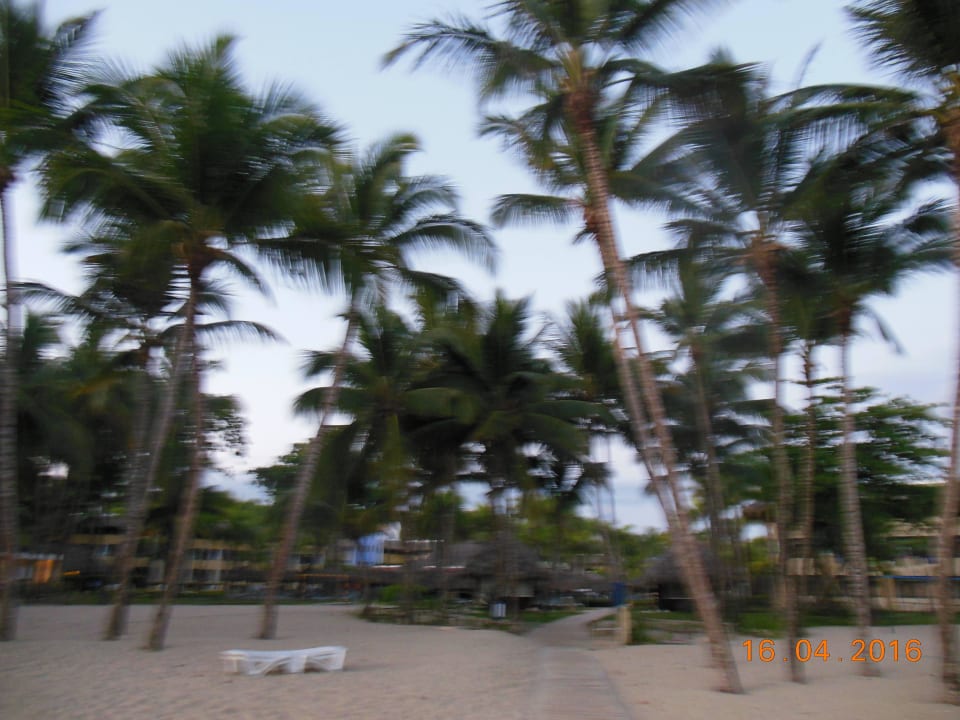 Blick vom Strand in Richtung Hotel Iberostar Waves Costa Dorada