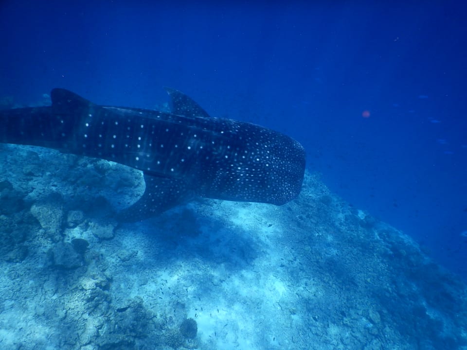 Strand Vilamendhoo Island Resort & Spa