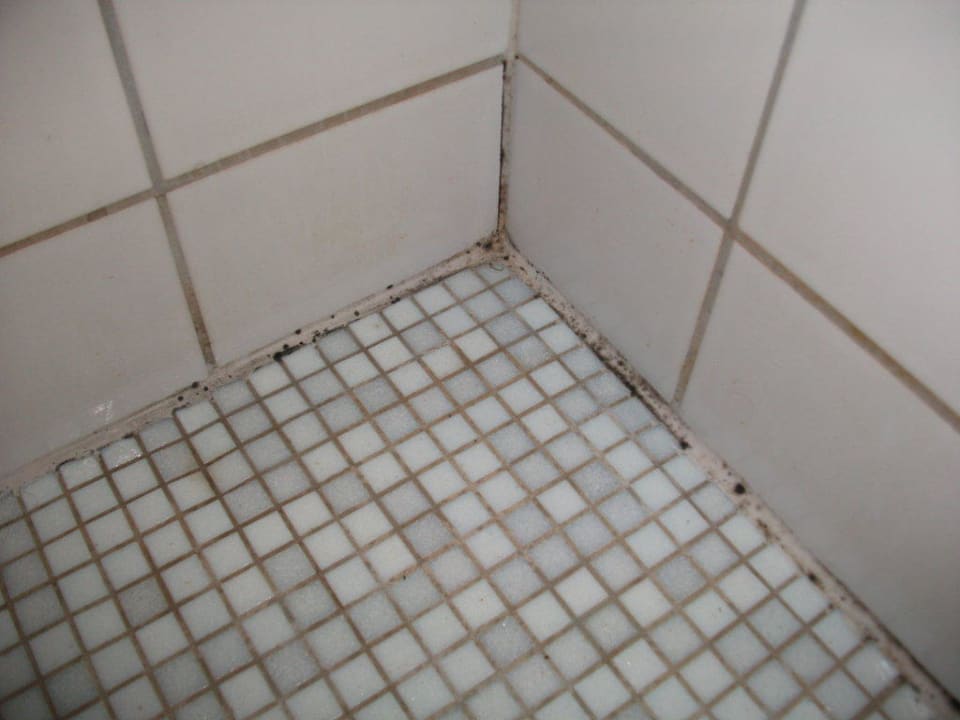 Mein Pilz Dein Pilz Fußpilz Camping- und Ferienpark Markgrafenheide