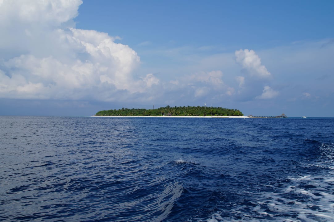 Insel vom Boot aus NH Collection Maldives Reethi Resort