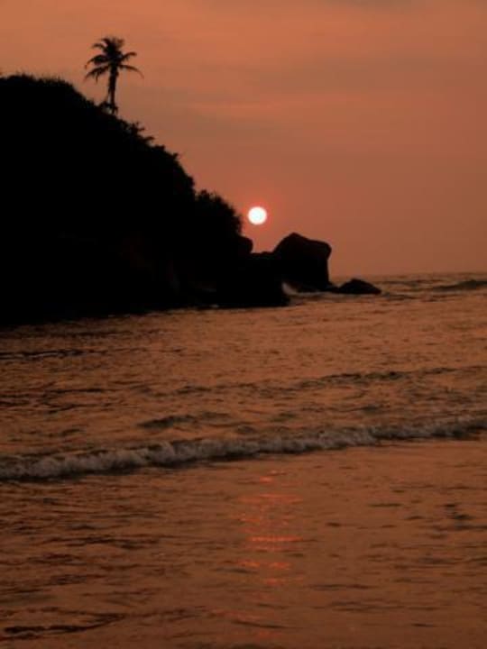 Blick zu einer kleinen Insel direkt vor dem Hotel Hotel Lanka Princess Ayurveda