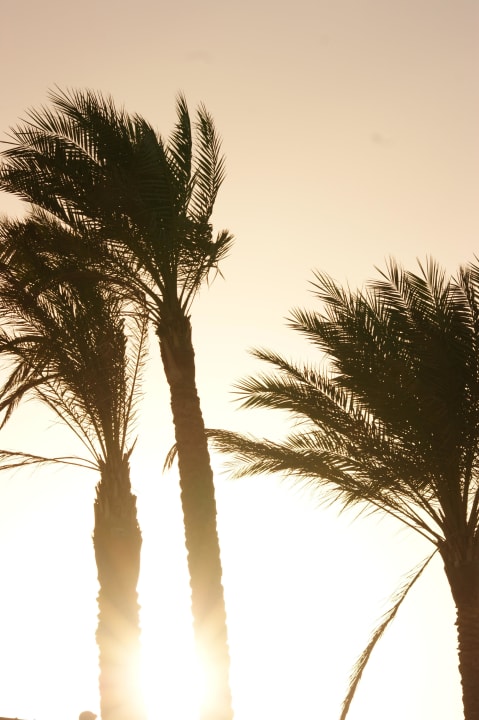 View Cleopatra Luxury Resort Makadi Bay