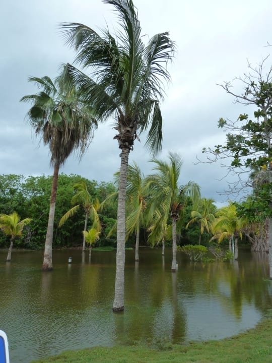 Gartenanlage Royalton Hicacos Resort & Spa - Adults only
