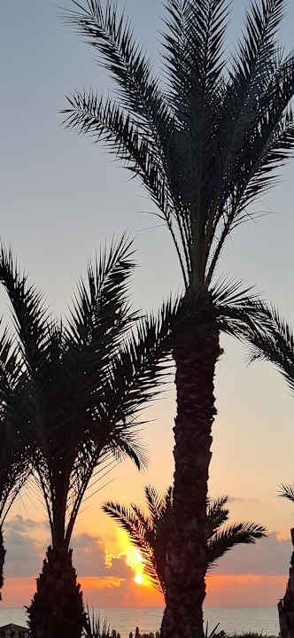 Ausblick Iberostar Waves Averroes