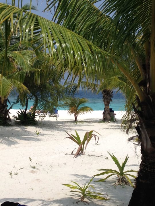 Aussicht aus Veranda zum Strand Adaaran Select Meedhupparu Island Resort - Premium All Inclusive