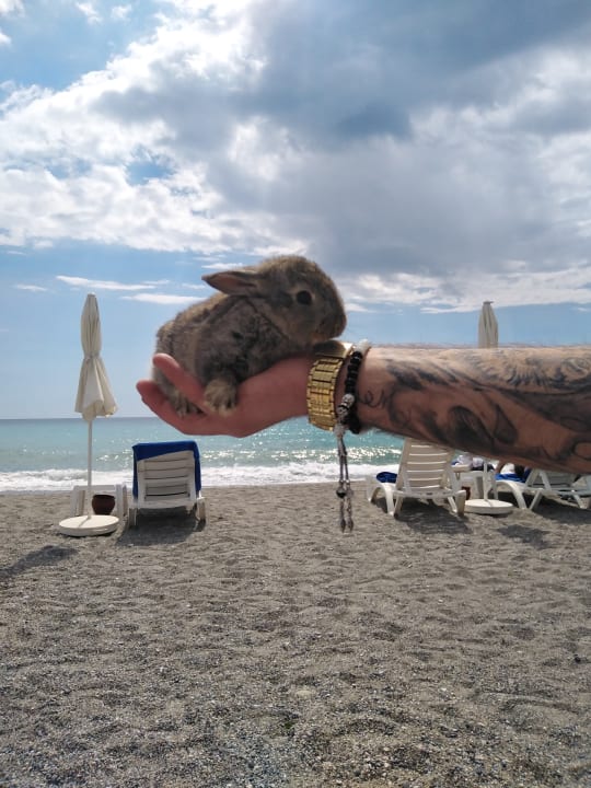 Strand Labranda Alantur Resort