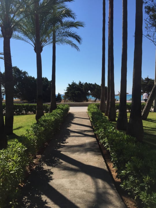 Weg zum Strand... Hipotels Mediterraneo Club