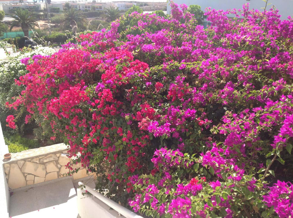 Hotel Nissi Beach Resort Hotel Nissi Beach Resort